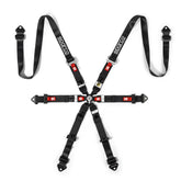 Sparco Prime H-8 6pt Endurance Racing Harness
